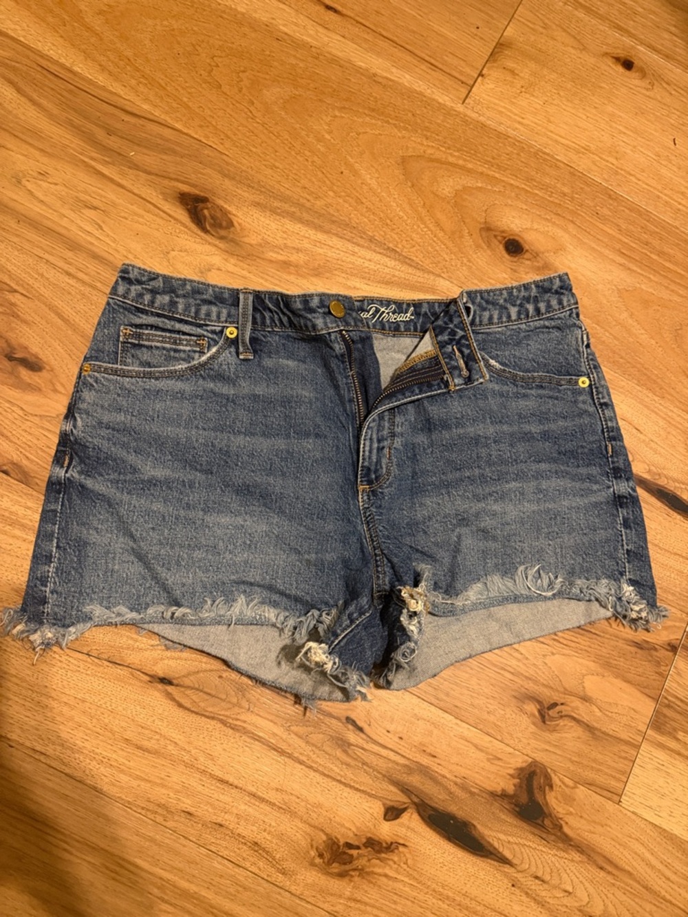 Classic Blue Denim Cutoff Shorts